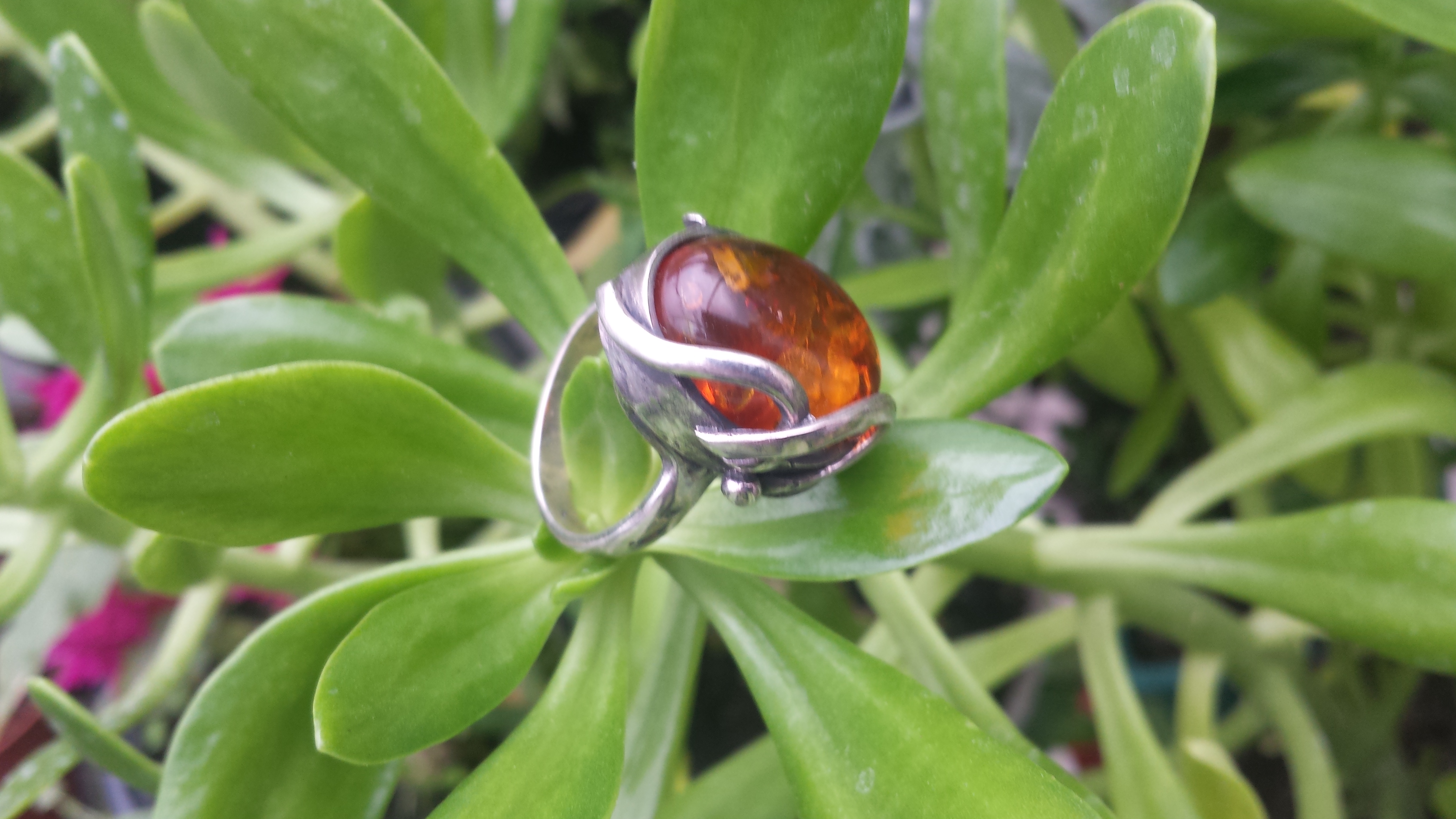 HONEY AMBER RING & SOLID 925 STERLING SILVER 10G.